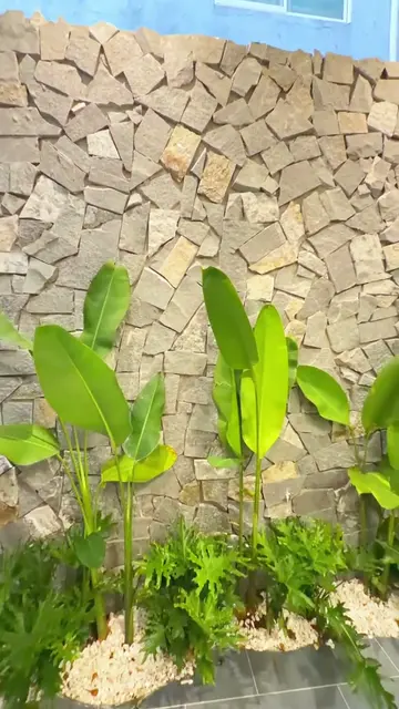 Nhà phố tối giản tường đá tự nhiên — 3